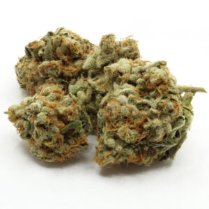 Slurricane Flower